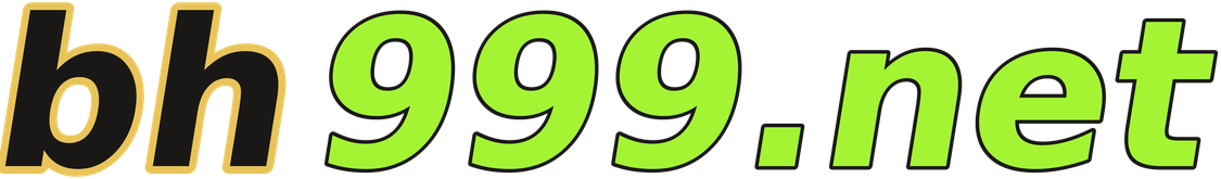 bh999.net logo